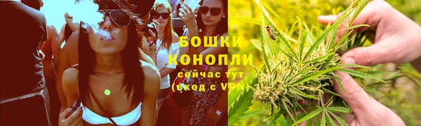 гидропоника Инта