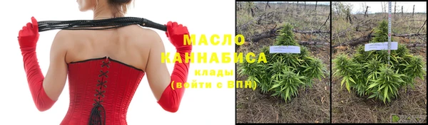 гидропоника Инта