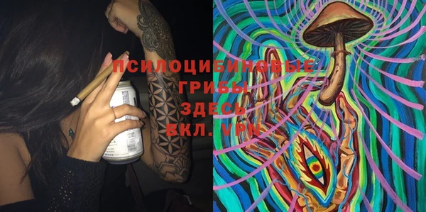 гидропоника Инта