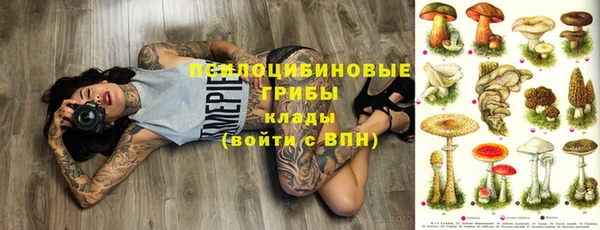 крисы Каменногорск