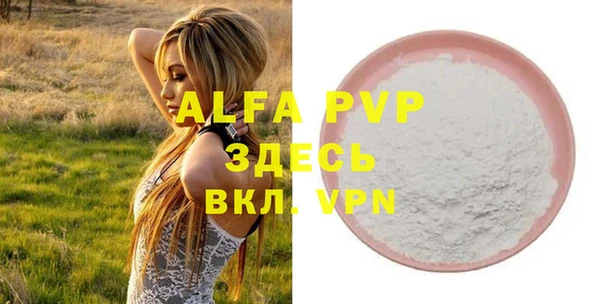 ПСИЛОЦИБИНОВЫЕ ГРИБЫ Иннополис
