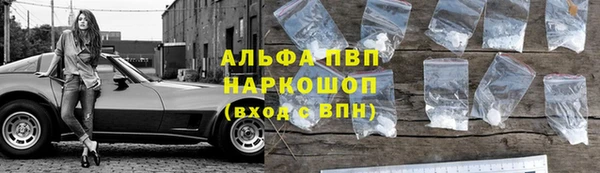 ПСИЛОЦИБИНОВЫЕ ГРИБЫ Иннополис