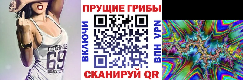 Купить где  Афипский  Галлюциногенные грибы Magic Shrooms 